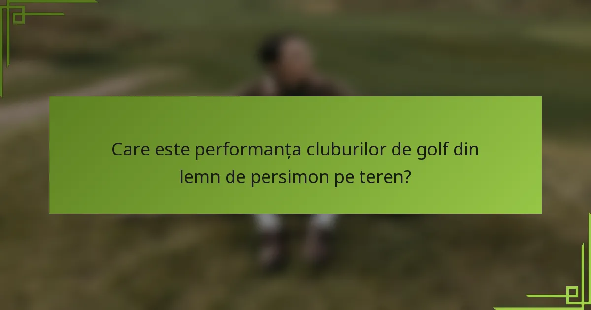 Care este performanța cluburilor de golf din lemn de persimon pe teren?