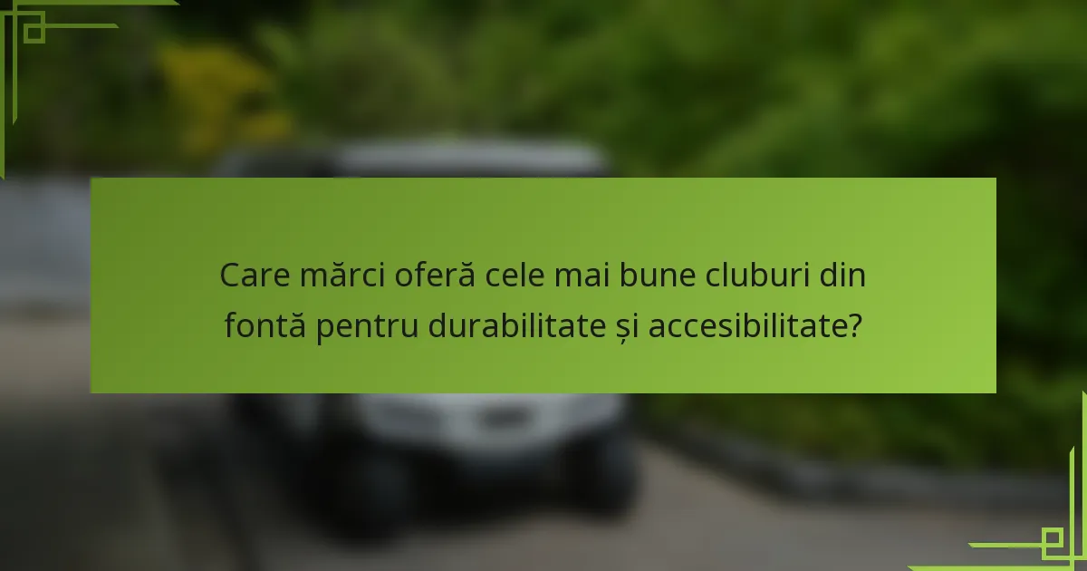 Care mărci oferă cele mai bune cluburi din fontă pentru durabilitate și accesibilitate?