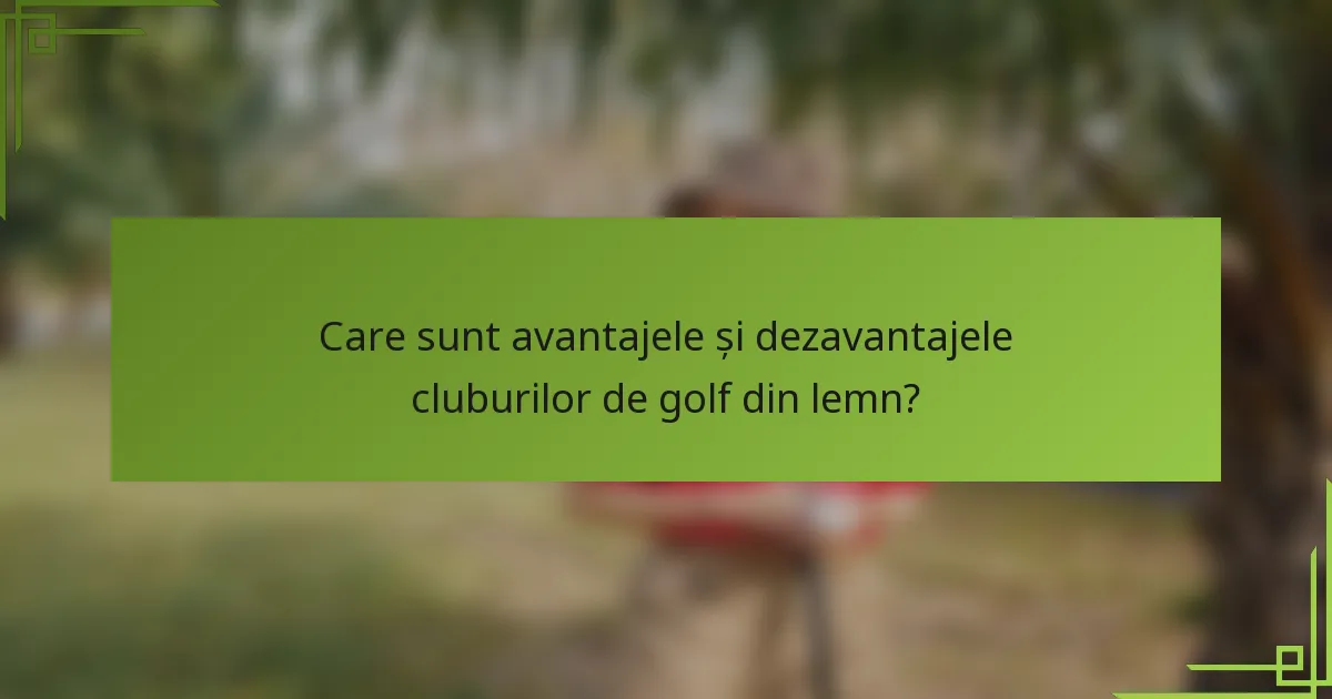 Care sunt avantajele și dezavantajele cluburilor de golf din lemn?