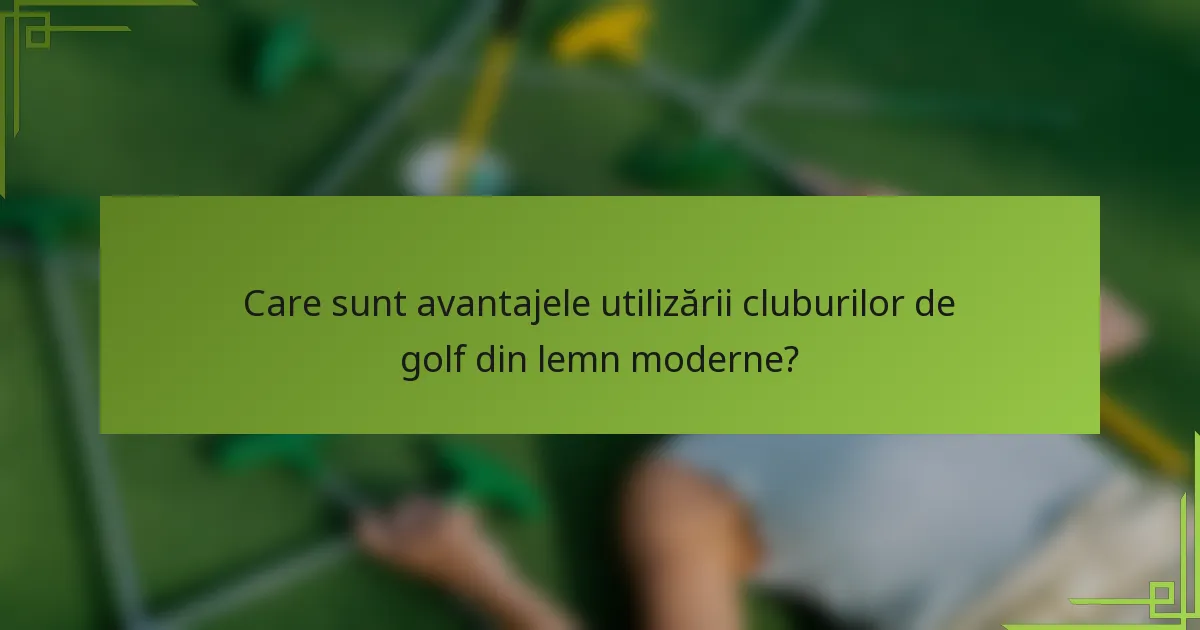 Care sunt avantajele utilizării cluburilor de golf din lemn moderne?