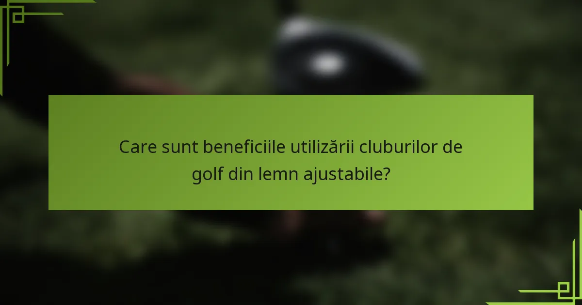 Care sunt beneficiile utilizării cluburilor de golf din lemn ajustabile?