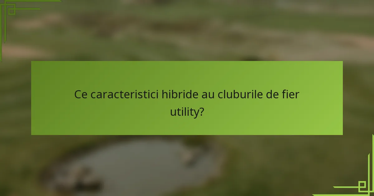 Ce caracteristici hibride au cluburile de fier utility?
