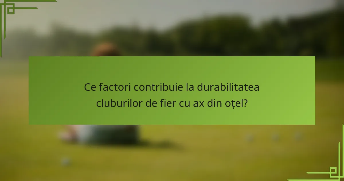 Ce factori contribuie la durabilitatea cluburilor de fier cu ax din oțel?