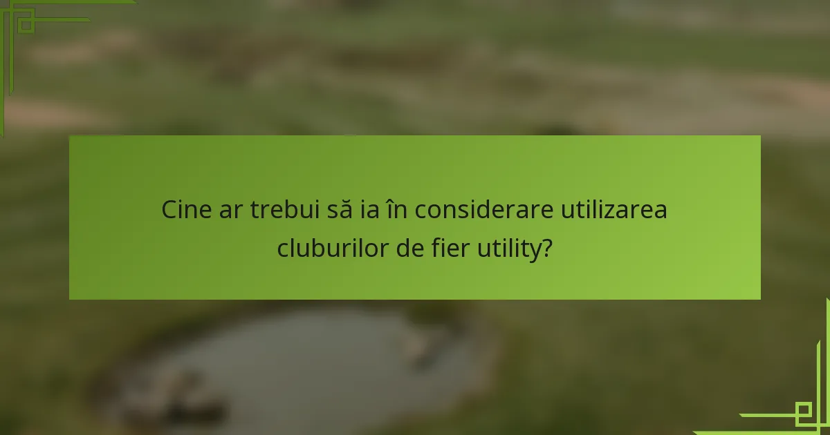 Cine ar trebui să ia în considerare utilizarea cluburilor de fier utility?