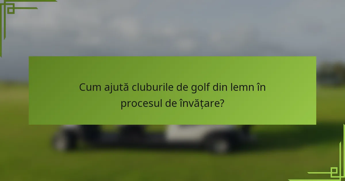 Cum ajută cluburile de golf din lemn în procesul de învățare?