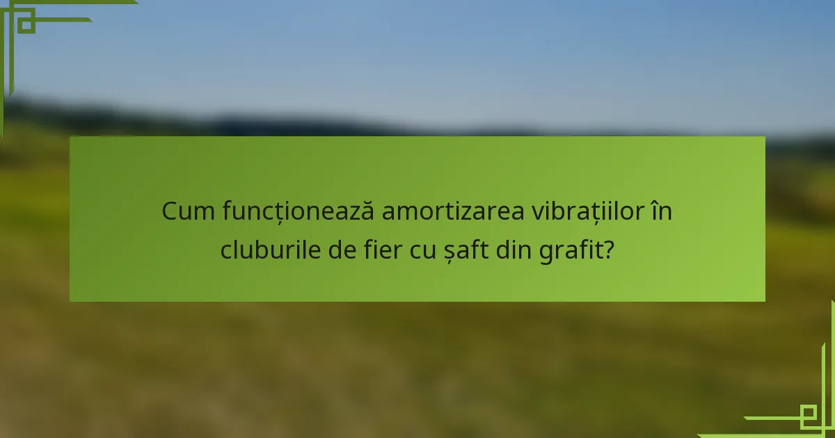 Cum funcționează amortizarea vibrațiilor în cluburile de fier cu șaft din grafit?